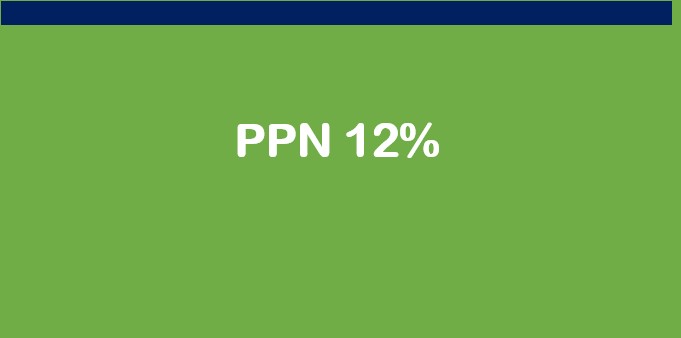 PPN 12 %