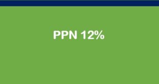 PPN 12 %